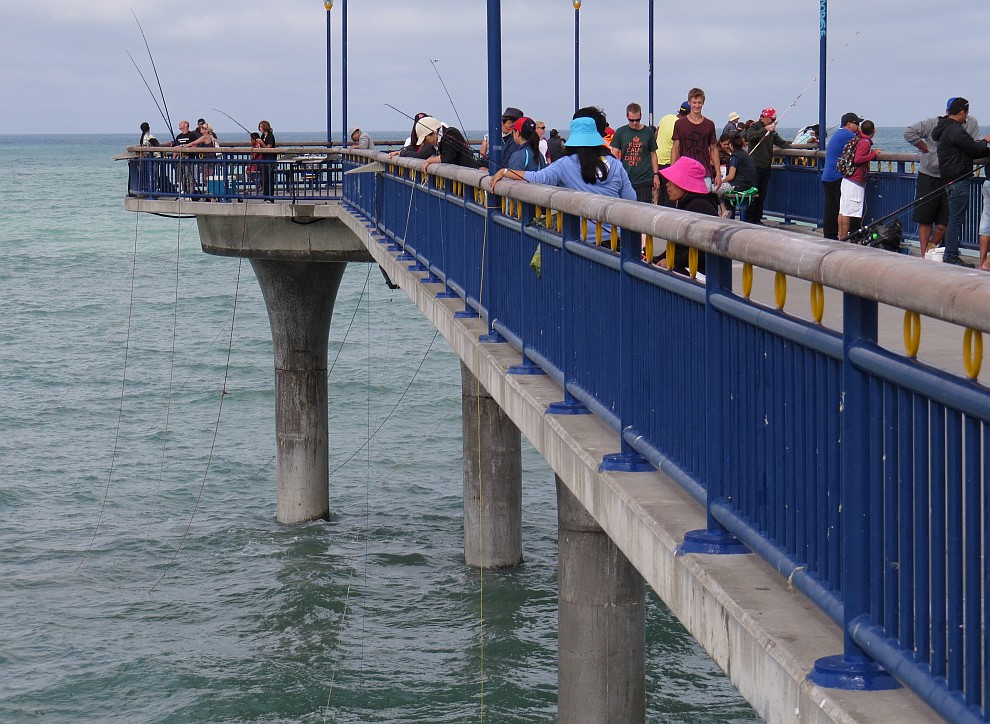 Angler auf der Seebrücke von Brighton